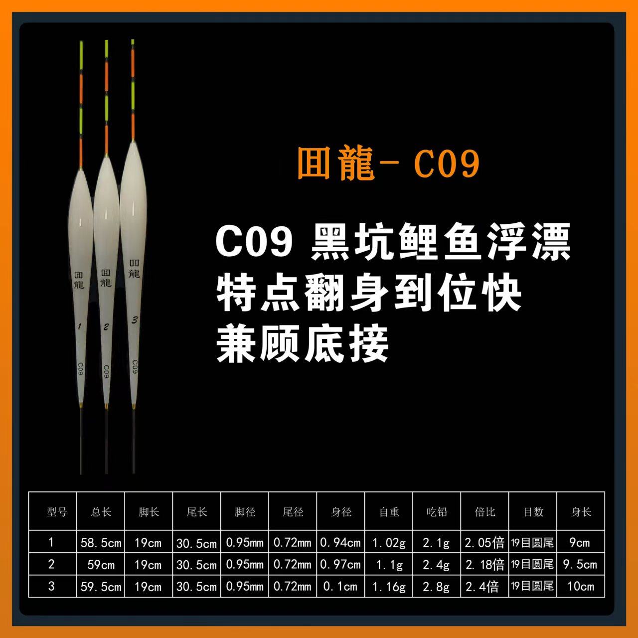 回龍C09黑坑鲤鱼浮漂