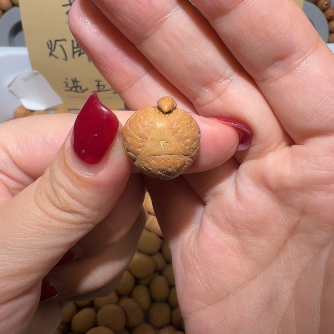 陈***圈凤眼菩提吊坠陈同学