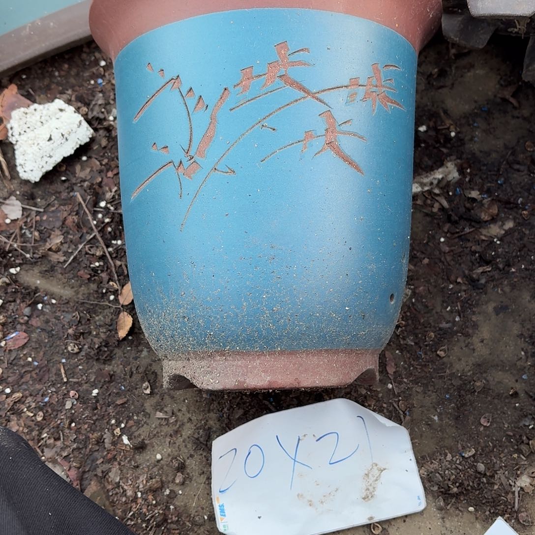 紫砂花盆3333333333