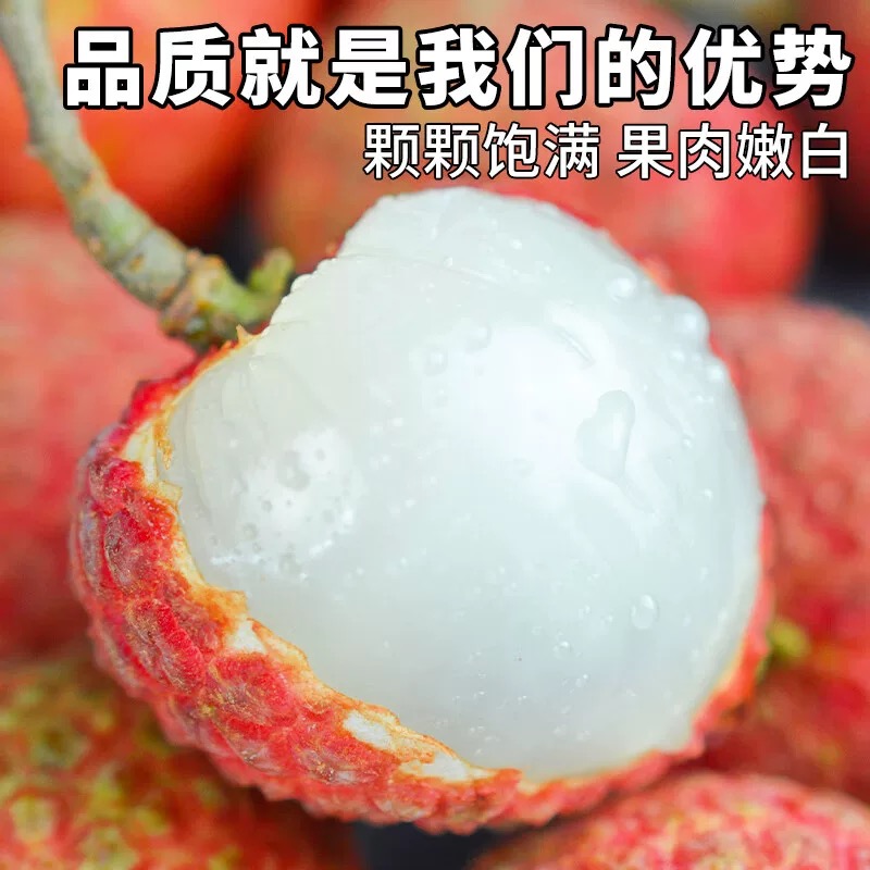 【顺丰24小时送达】高州白糖罂荔枝端午节送礼现摘鲜果纯甜爆汁 3-5斤广东省