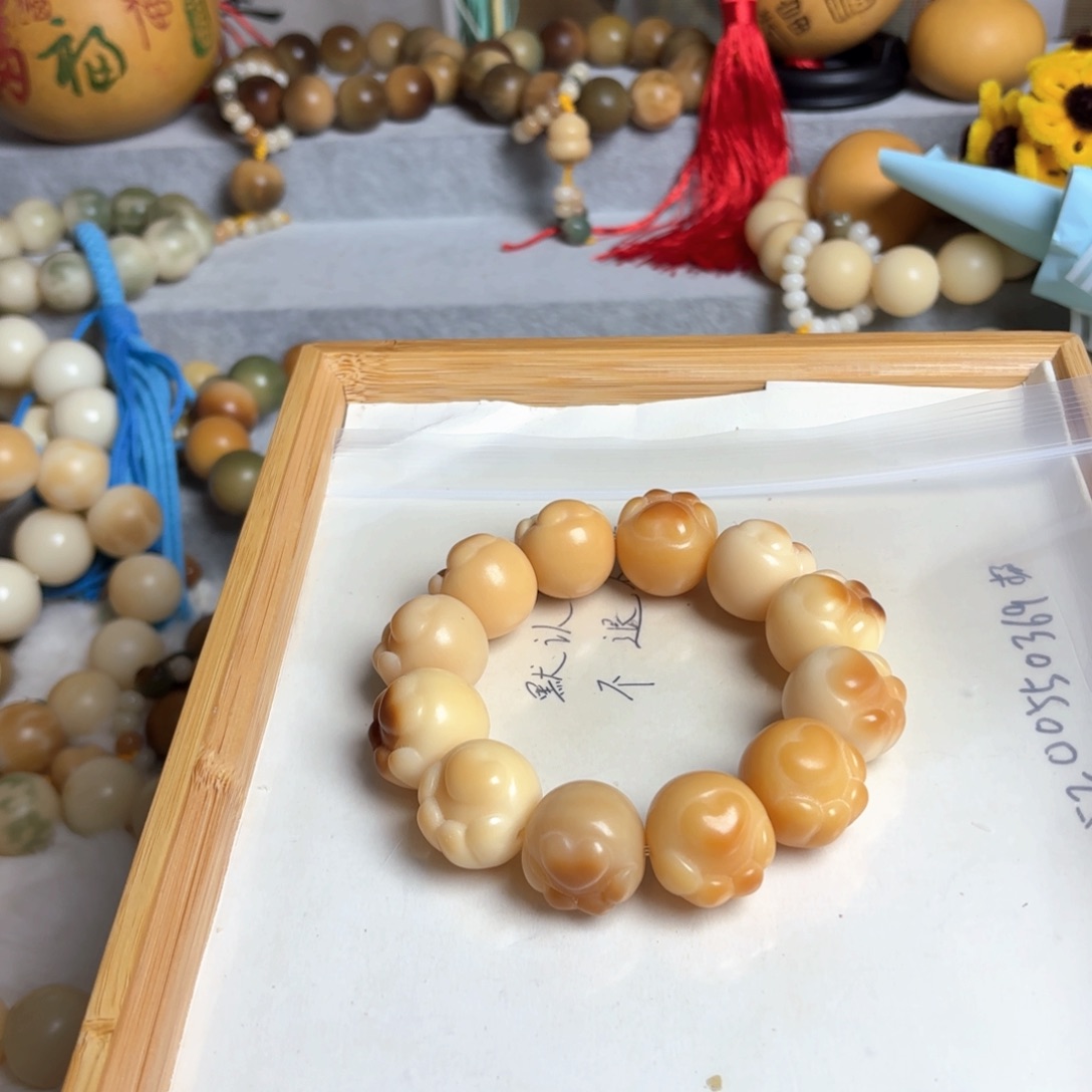 菩提根/象牙果手串卡23黄猫爪