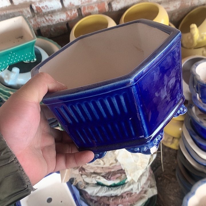 紫砂哈哈真的是太给力太火爆了