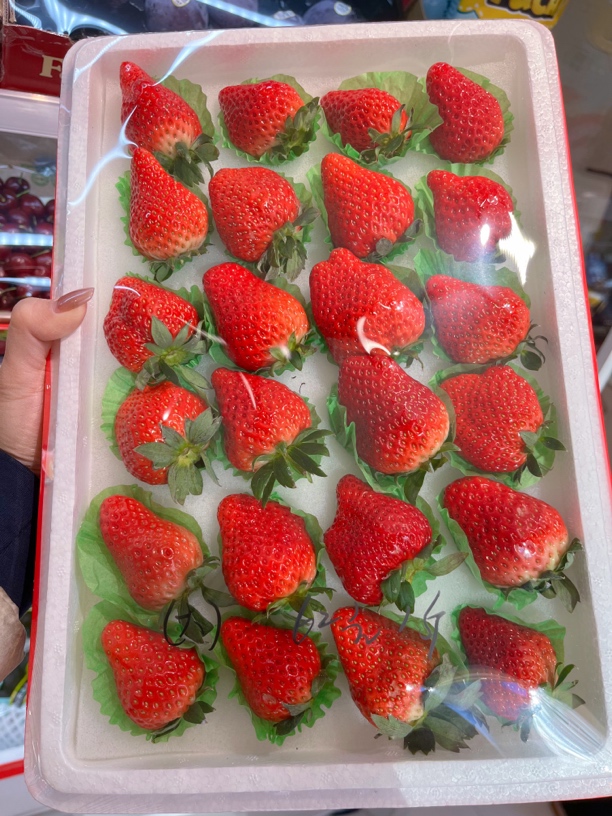 丹东九九草莓（1.5-1.6斤）又大又甜【卡甜甄选】