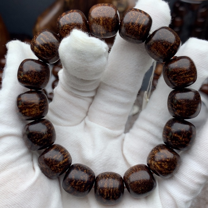 贡木ㅤ****巴布亚13/14黑龙