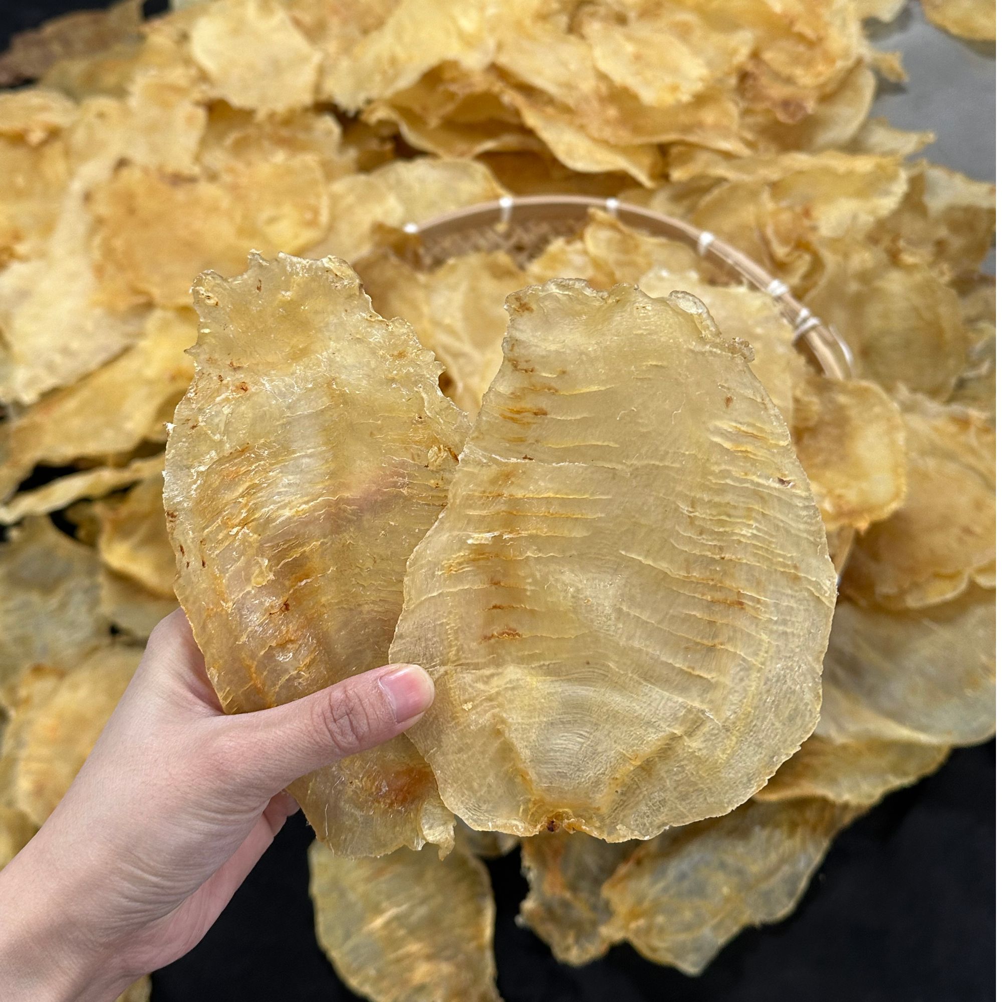 H118153-5 裕初 赤嘴片1-500g 鱼胶 花胶 干货 广东汕头