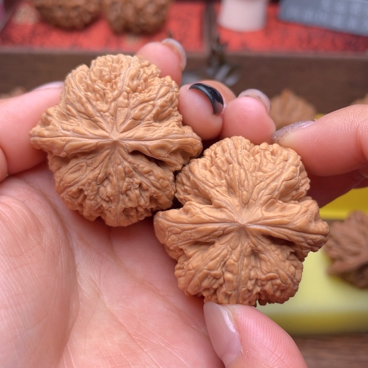 桃核吊坠39全品粗筋 694