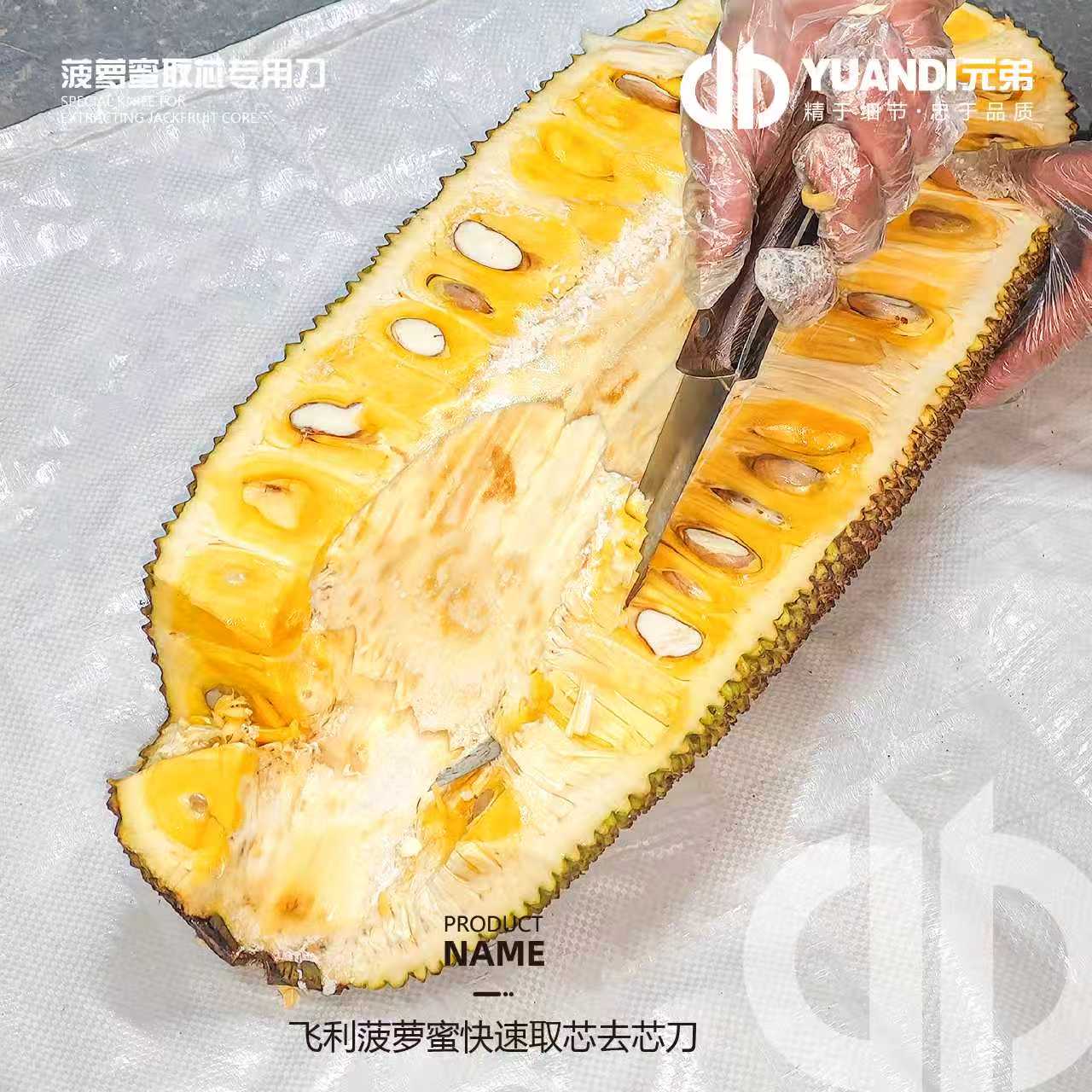 飞利菠萝蜜快速取芯去芯刀