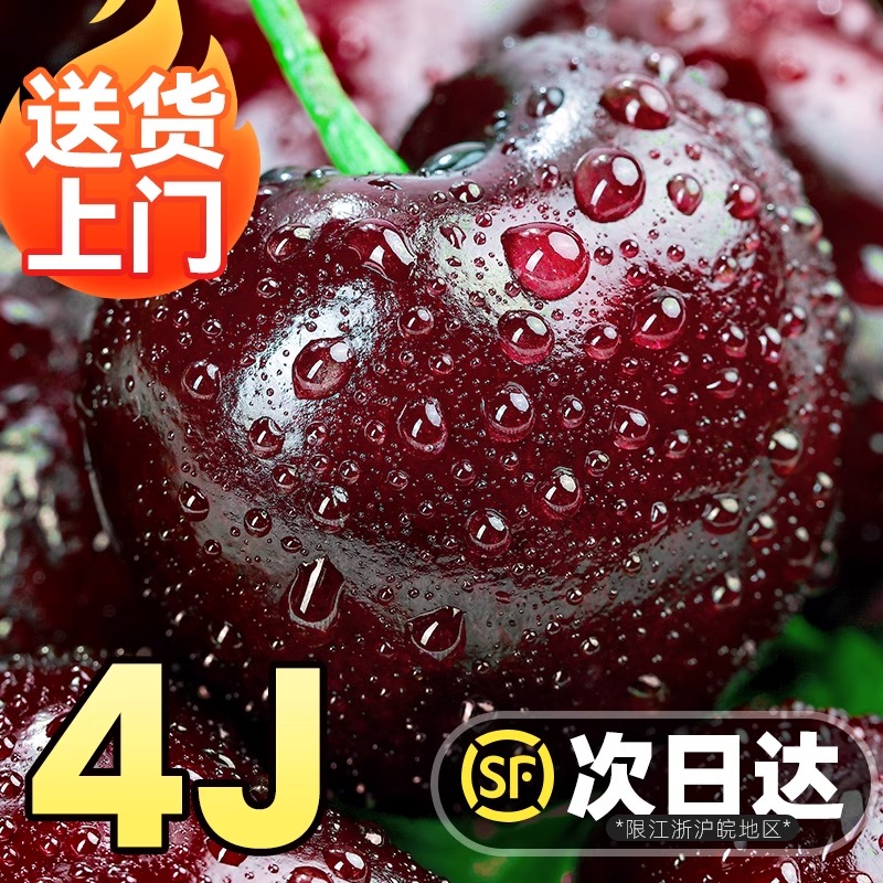 4JDD大果加大加黑【顺丰今天拍明天到】智利进口海运车厘子鲜头茬宝宝孕妇内附果径卡800g FX桑提娜智利共和国