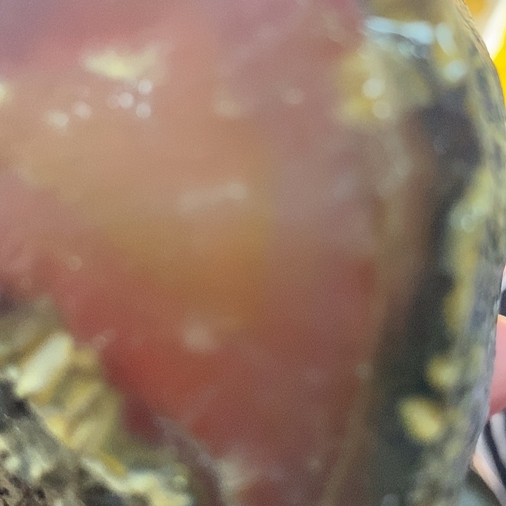 冰***花定制玛瑙2镯生肖6002336