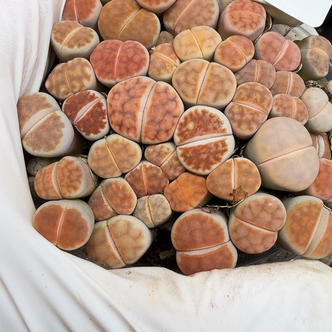 不是很冷哦啊怎么样我在138