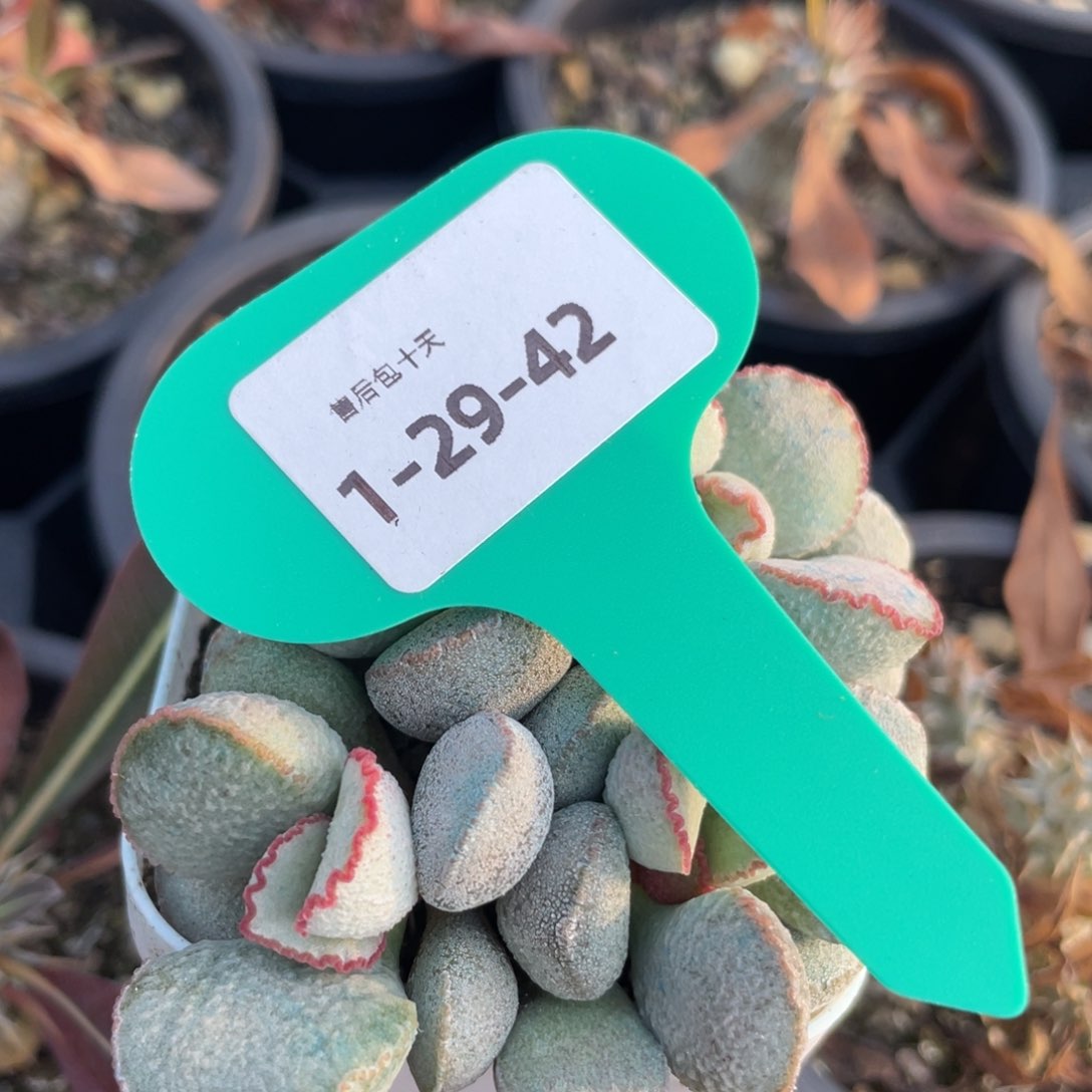 福利。    福利。   