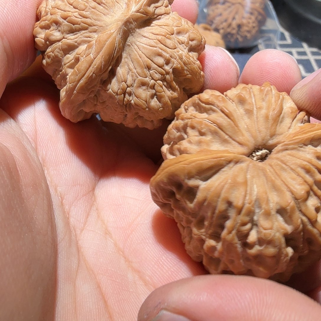 文玩核桃把件血麒麟