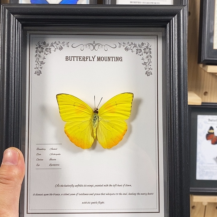 珐琅铁合金黄纹飞粉蝶