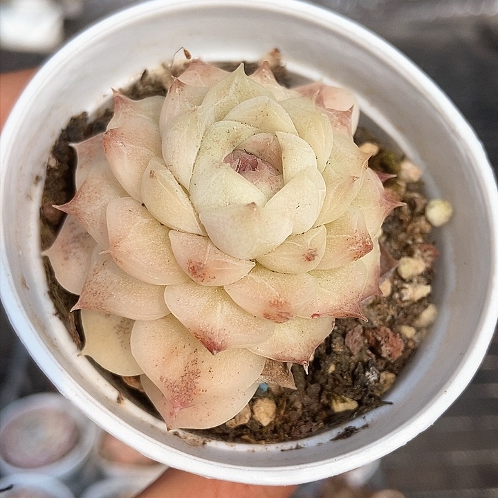 一物一拍满十元包邮发货 326