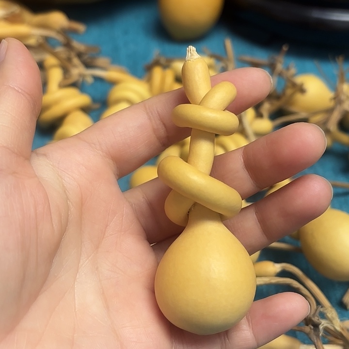 风***帆一把葫芦便宜漏了
