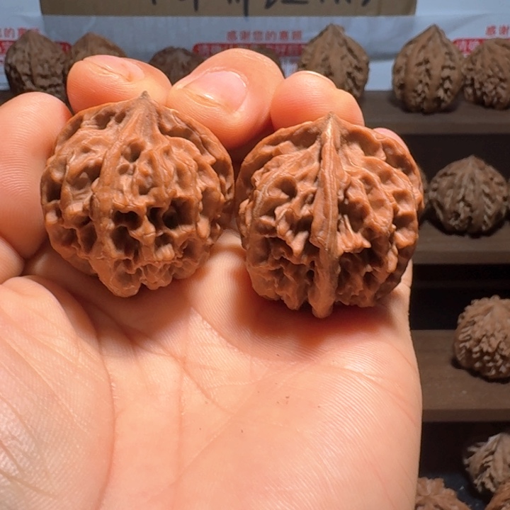 y***y秦岭野生无名三棱