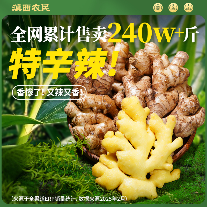 [两年老姜]云南高山新鲜现挖小黄姜云南产地发货姜香味浓郁辛辣