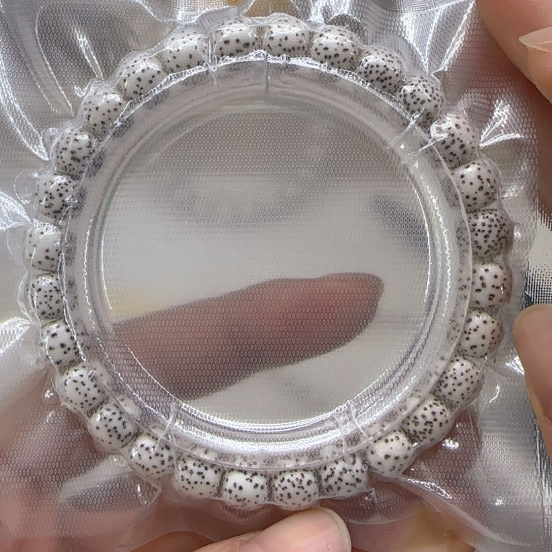 星月菩提手串12卓越白河豚星月菩提87桶单圈