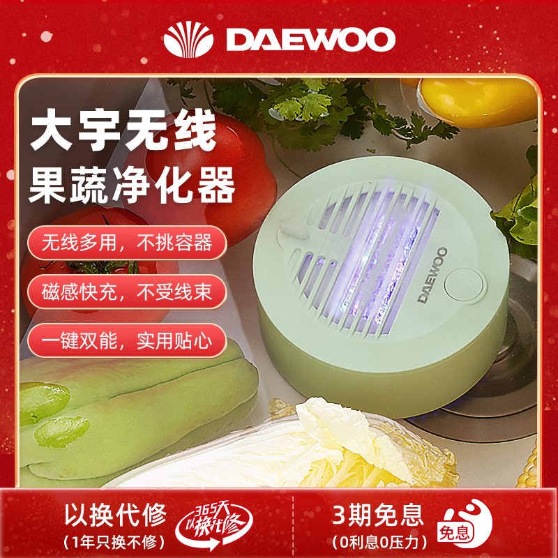 DAEWOO/大宇果蔬清洗机无线家用去农残洗菜机全自动果蔬净化器QX4