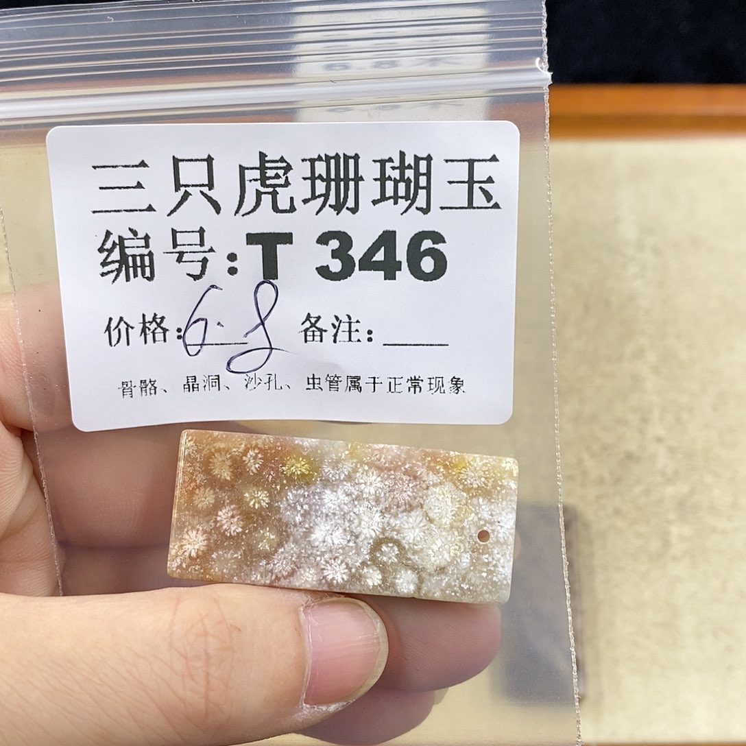 硅化珊瑚（珊瑚玉）1未镶嵌湫*