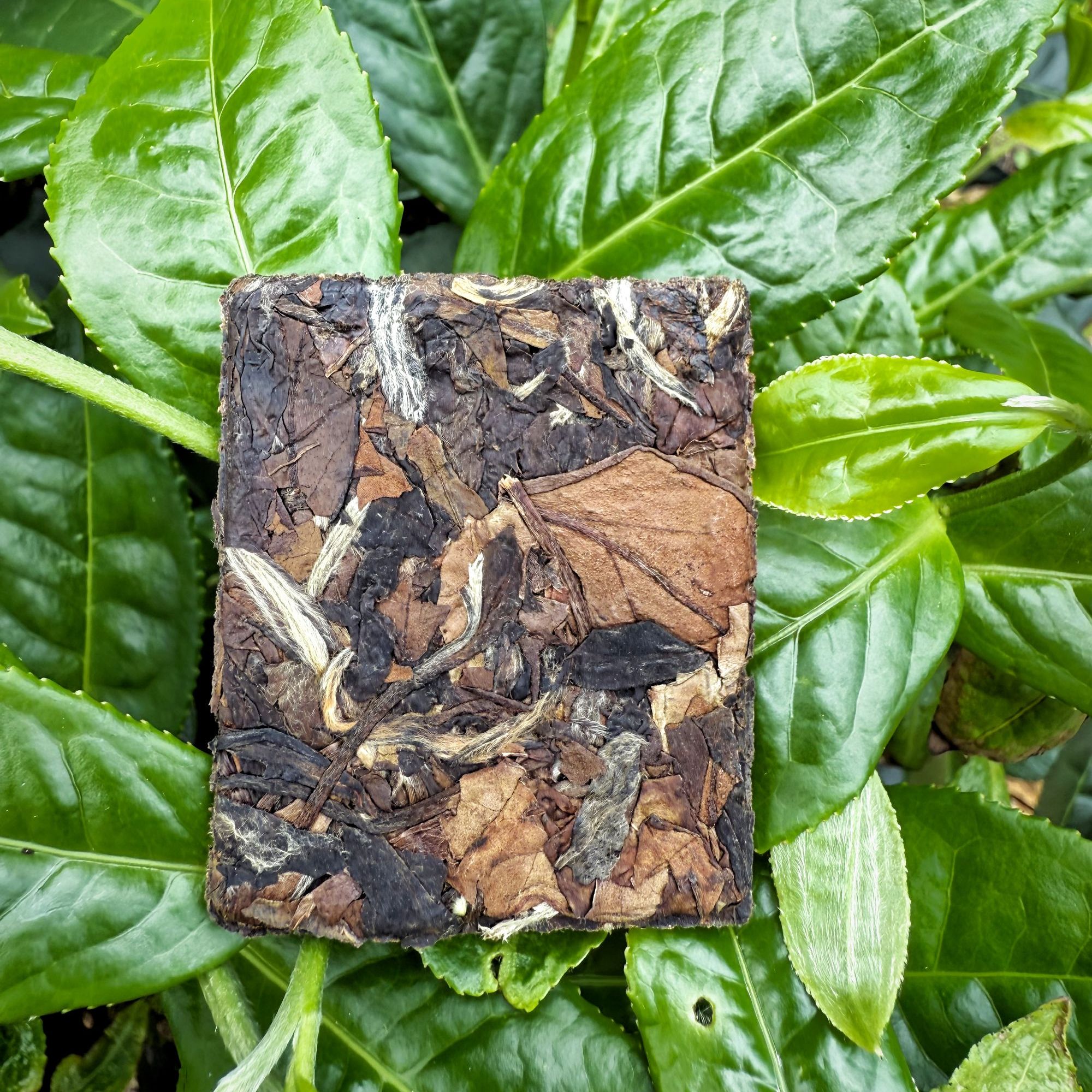 【脆茶】活动链接】2022年秋寿眉小饼干200克一包【松脆型】