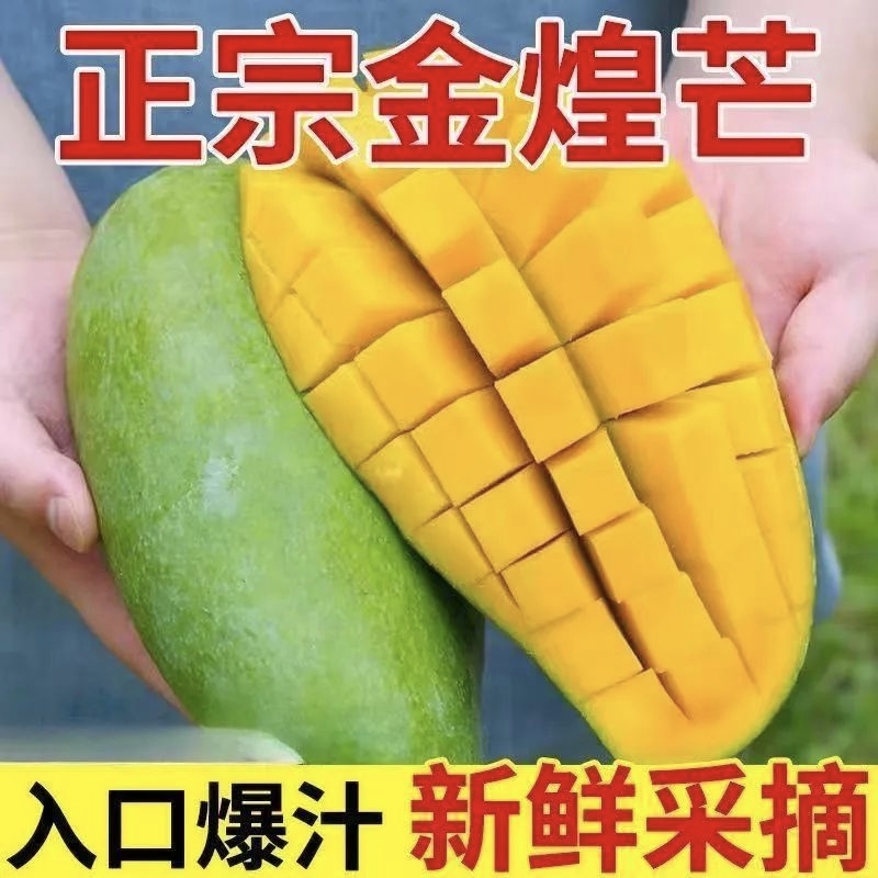 正宗海南金煌芒果核薄肉厚香甜多汁新鲜水果