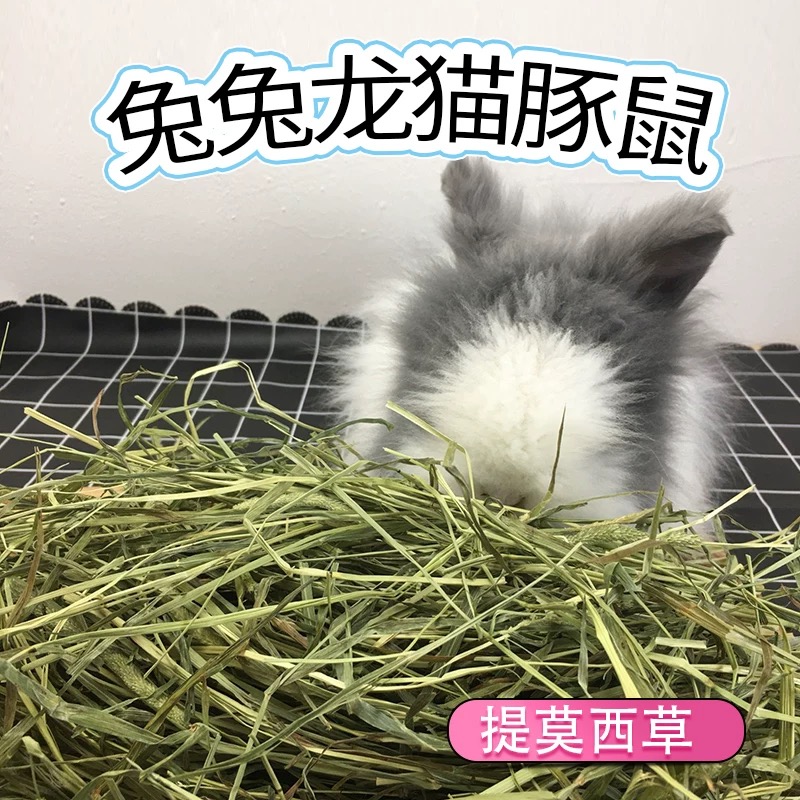 特级提摩西草头茬新草宠物兔兔龙猫猪主食干草