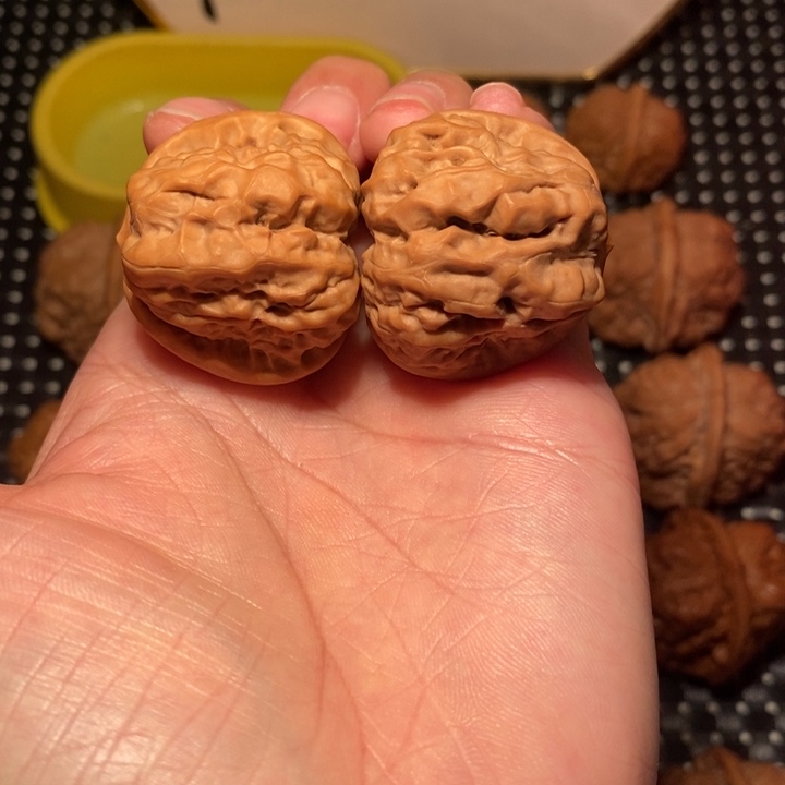 鹿***了文玩核桃把件蛙王