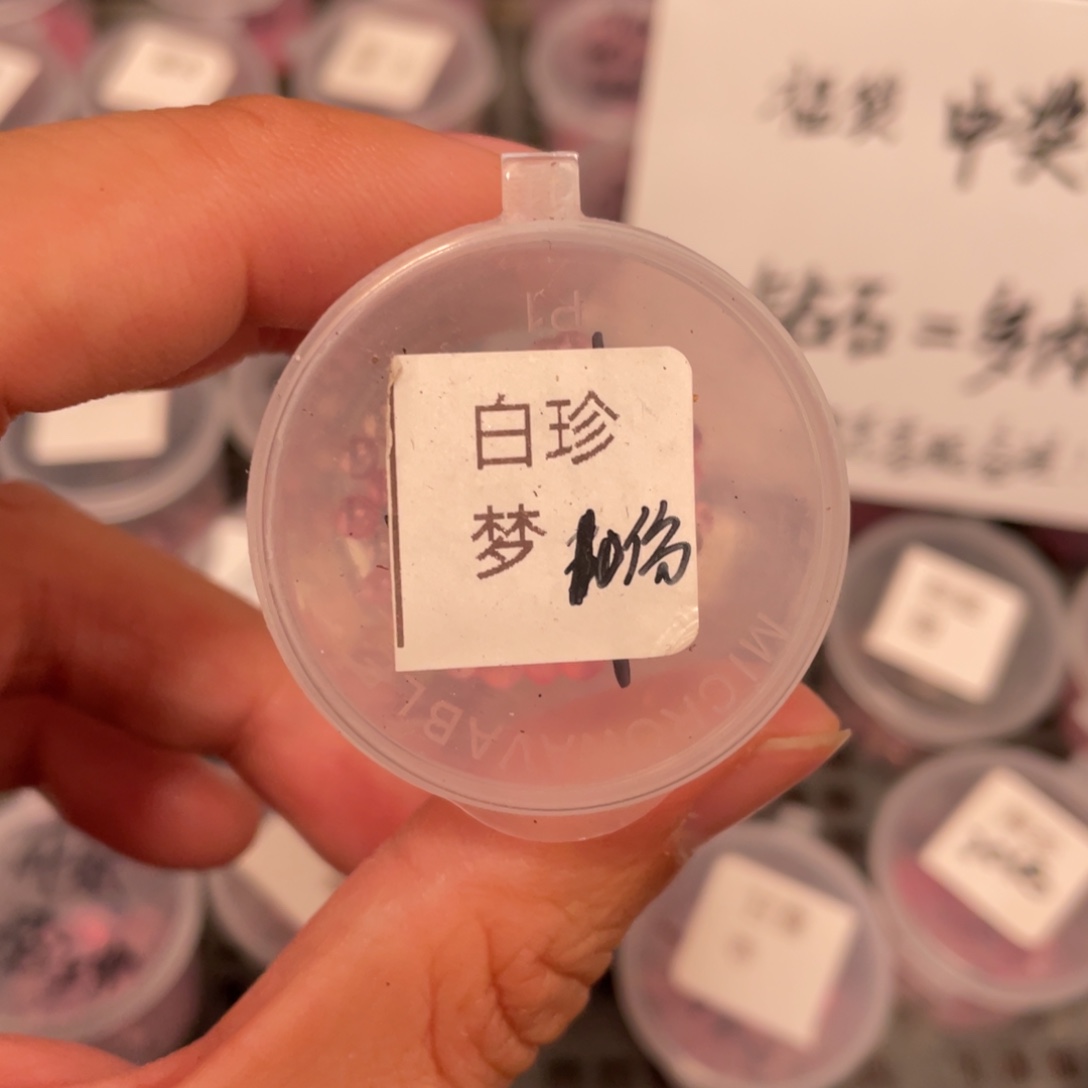 白体珍妮✖️梦露20粒，新品好看