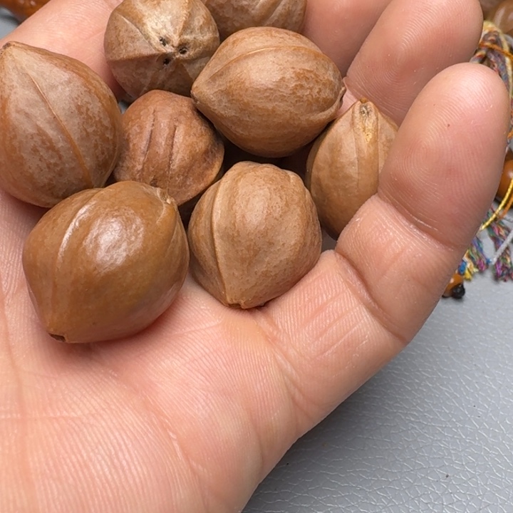 橄榄核手串加****.橄榄核9666