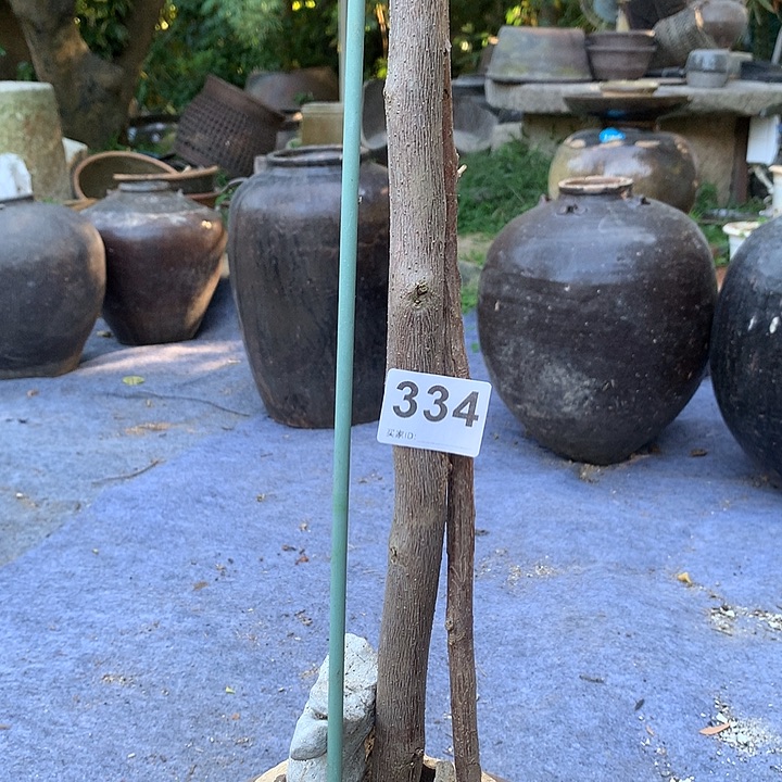 颈饰玻璃?*?000334