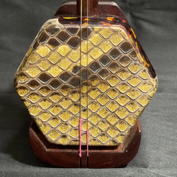 二胡乐器适合初学者考级演奏通用