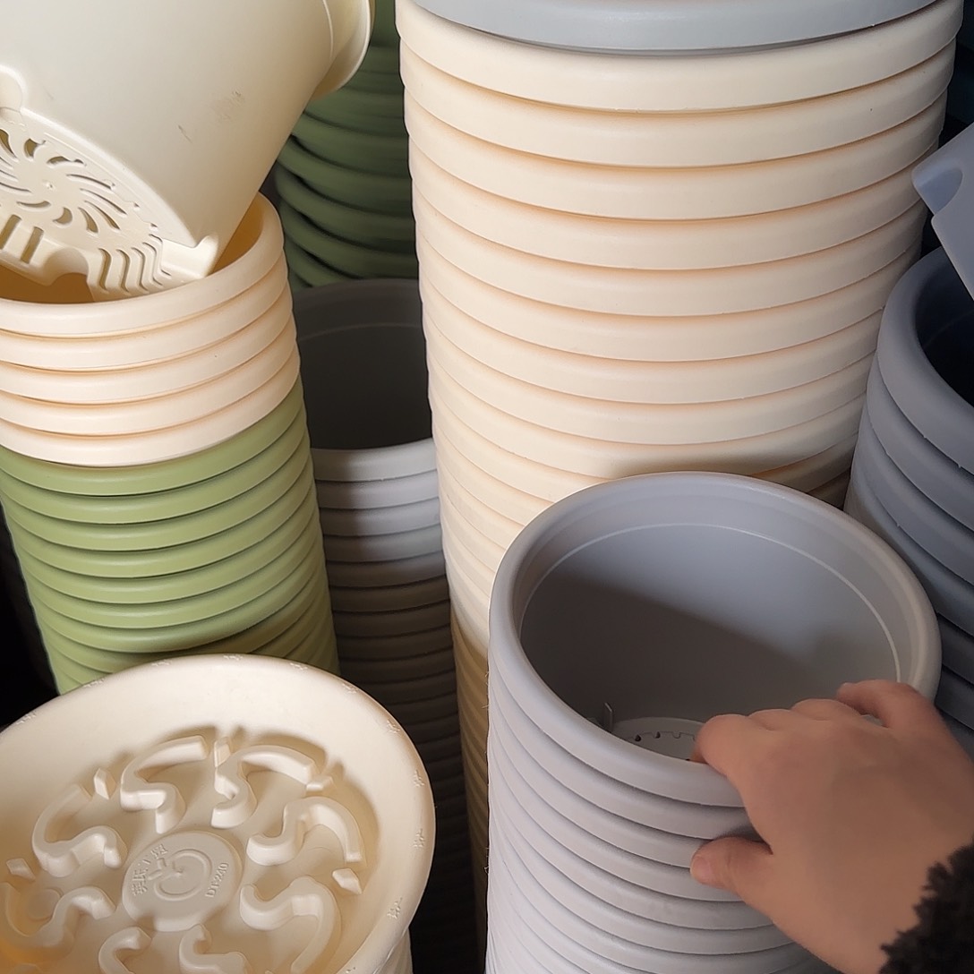 树脂四季2号无托12个微瑕