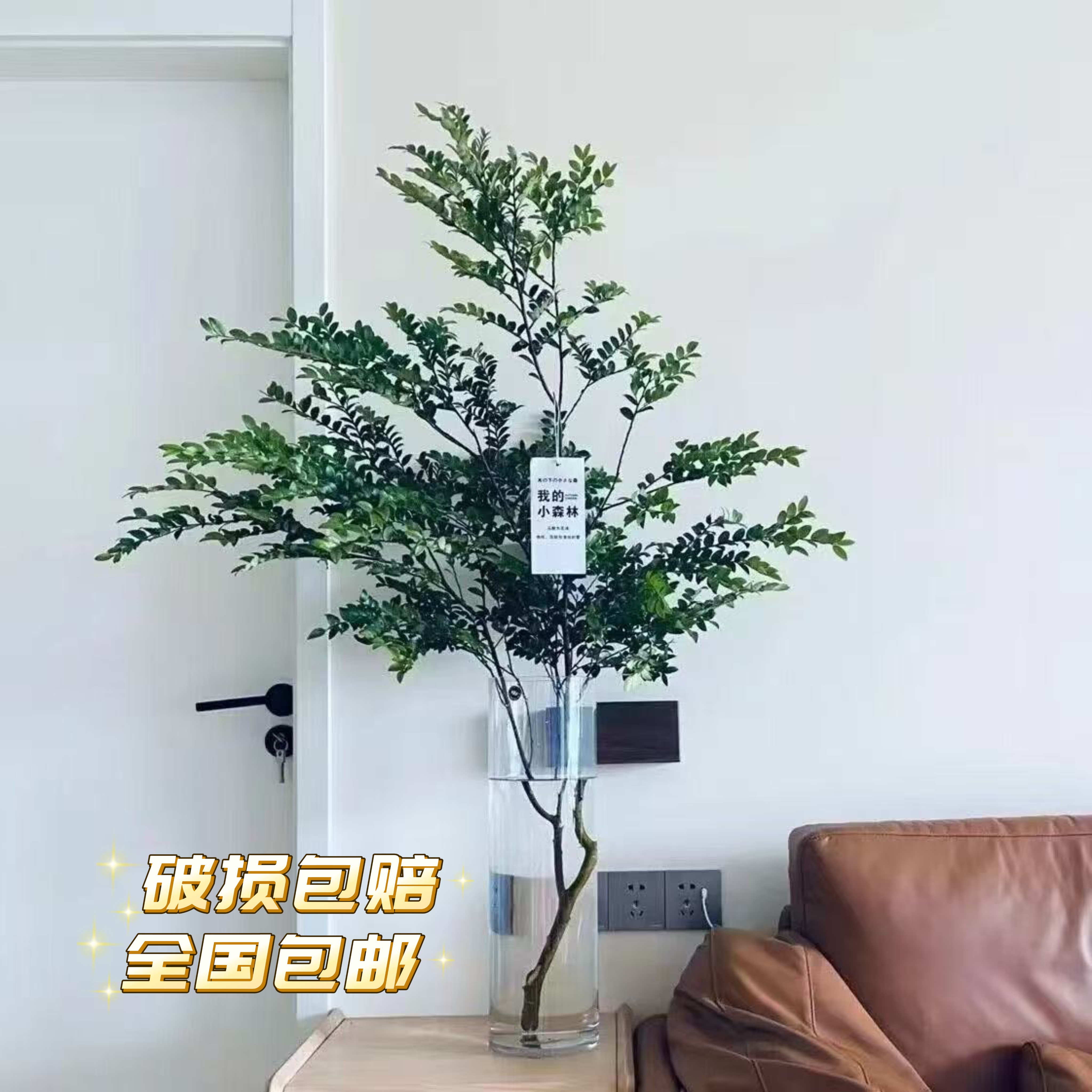 美男树水培鲜切枝懒人植物室内客厅好养平替马醉木吊钟的高端绿植