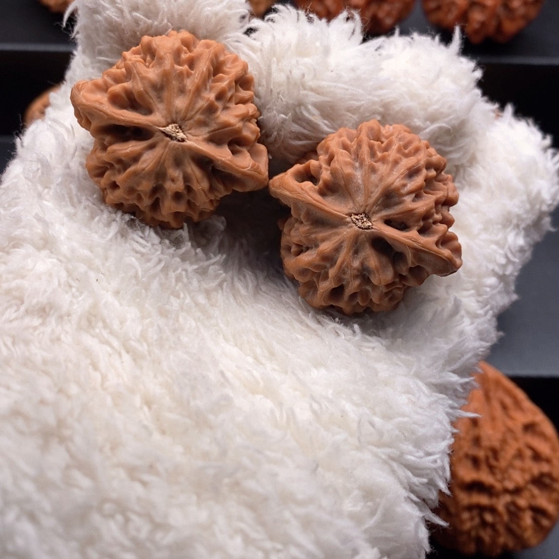 把件文玩核桃这****彪秦岭文玩核桃