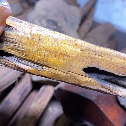 贡木手串樂我们in vcd ri k m m n