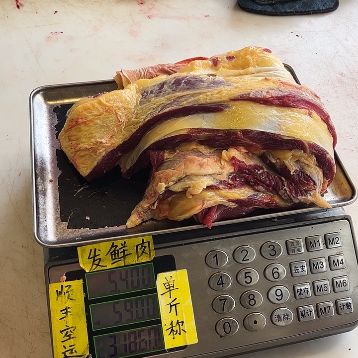 一***你18中国大陆散装许褚n你