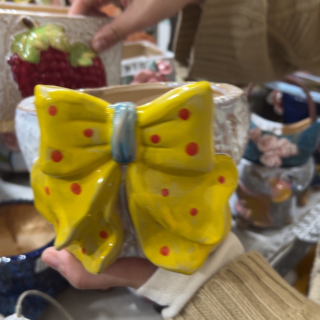 花盆，拍满20发货，退款拉黑