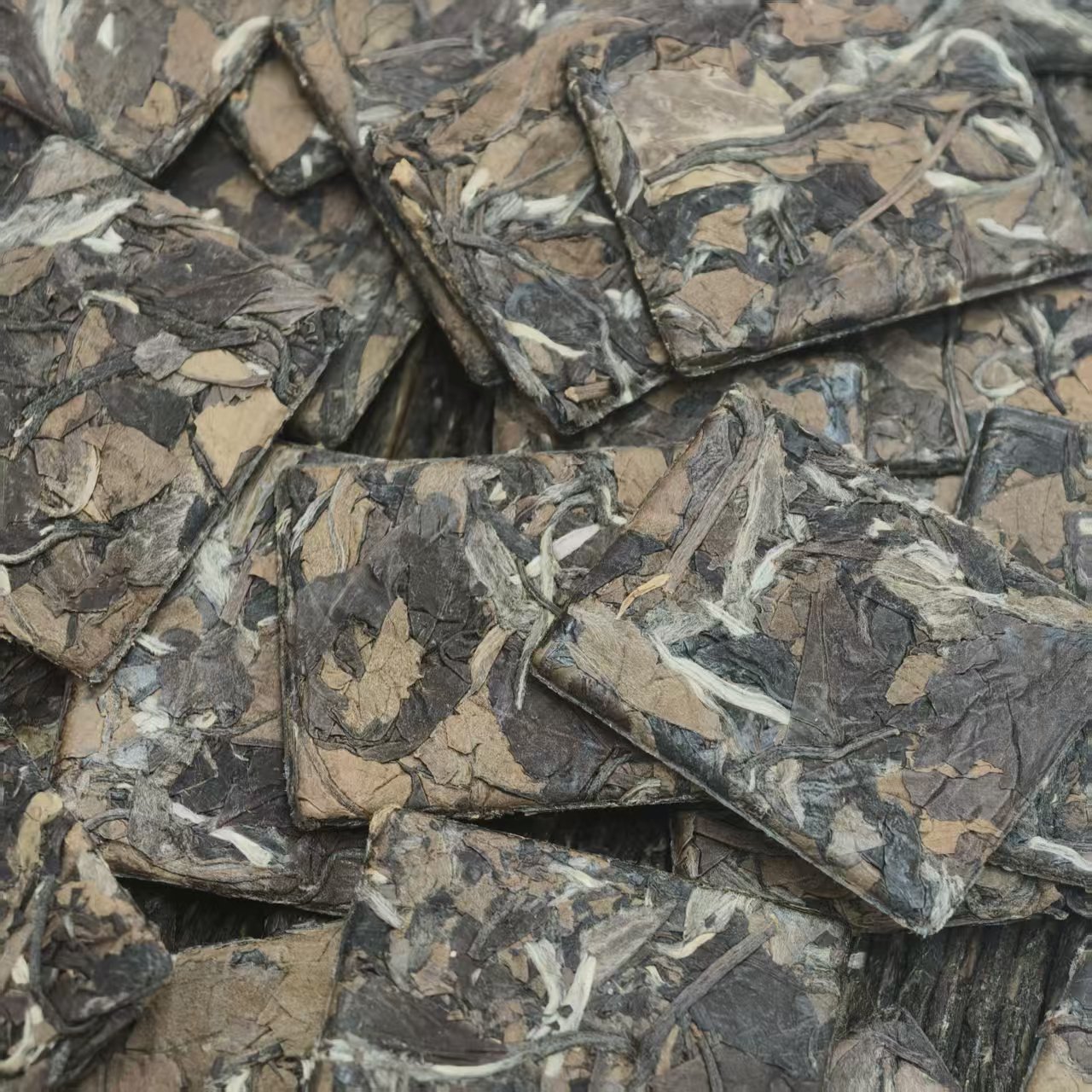 【江缘】福鼎白茶·2010年贡眉·群体种小菜茶·高山荒野