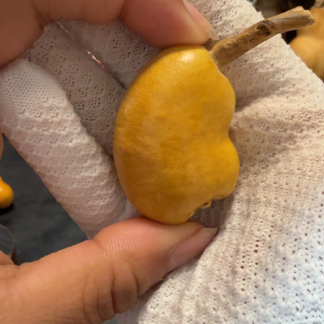 阑****6…………………………………………