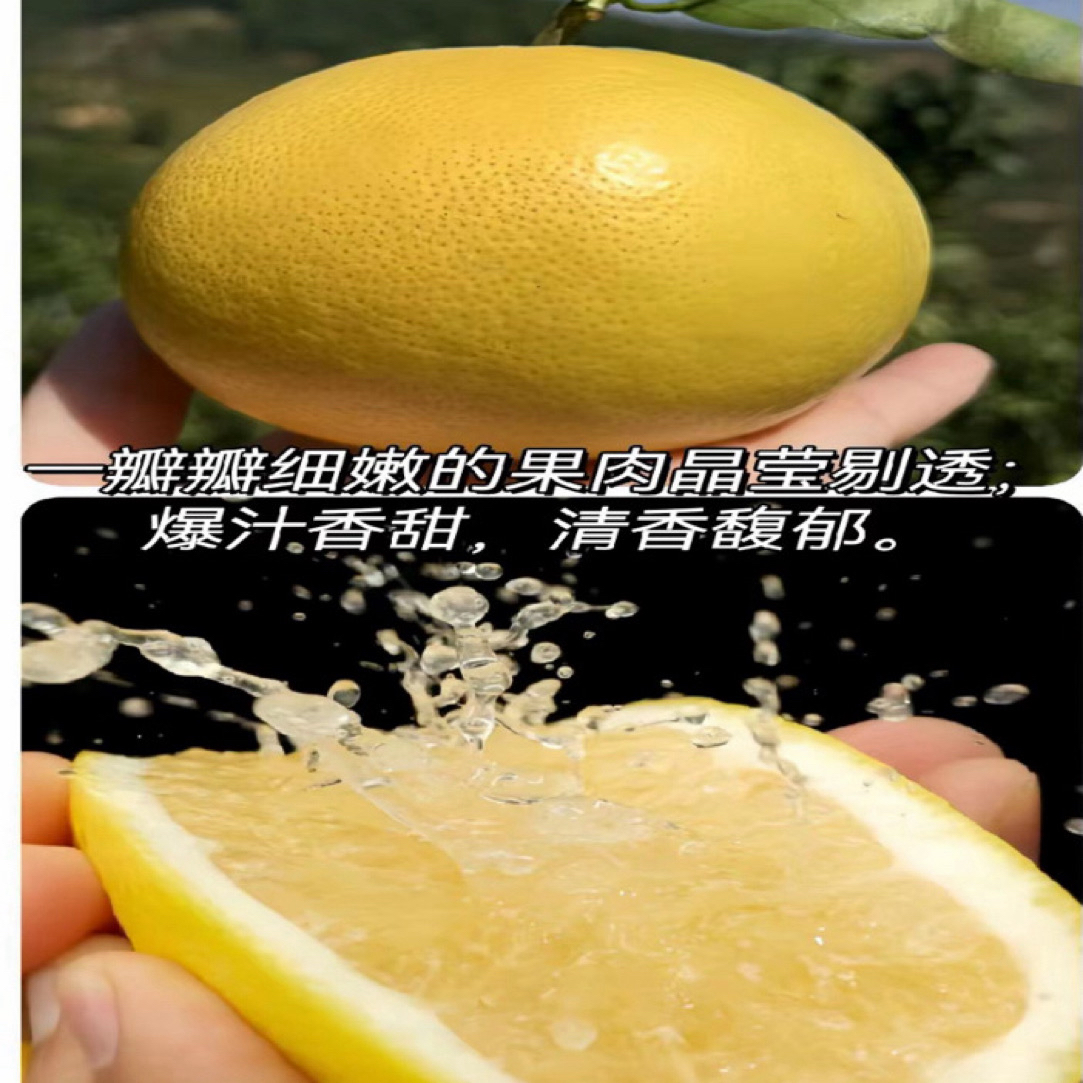 葡萄柚新鲜应季水果清甜爆汁果园现摘现发（表面有花皮，介意勿拍）