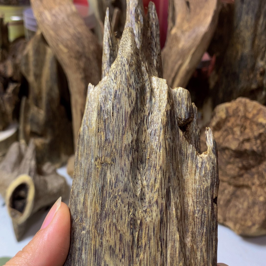 沉香沉香碎屑天然虫漏紫奇113克