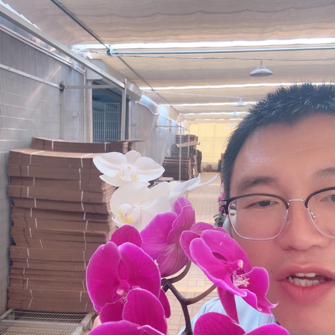 完全开放阿妈➕火鹤