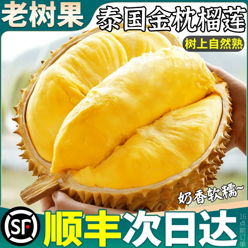 19HJ金枕榴莲【顺丰次日达】泰国A级树熟金枕头鲜榴莲3-4斤（核小香甜软)新鲜榴莲同城送金枕泰国东部