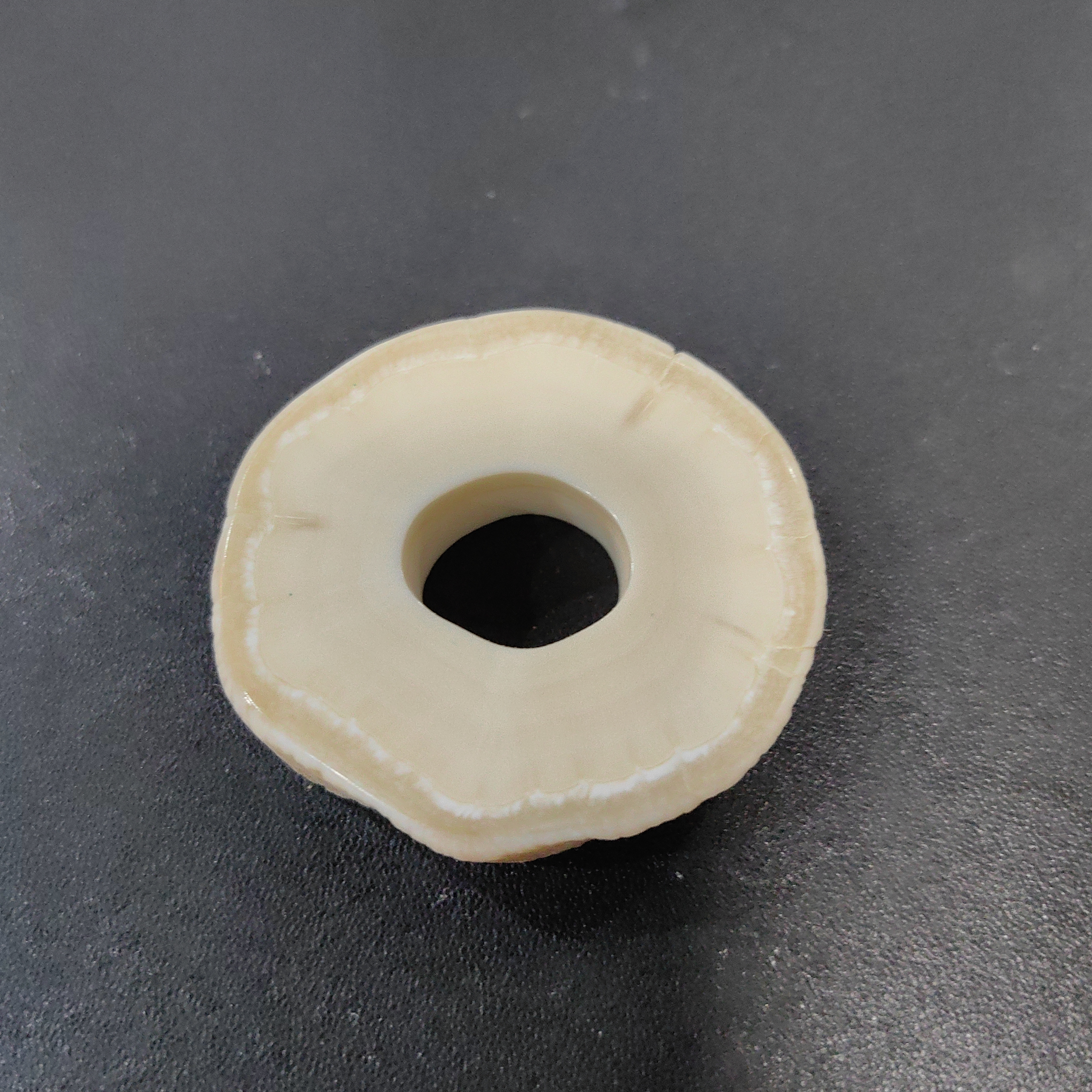 猛犸猛犸独饼子tt1510