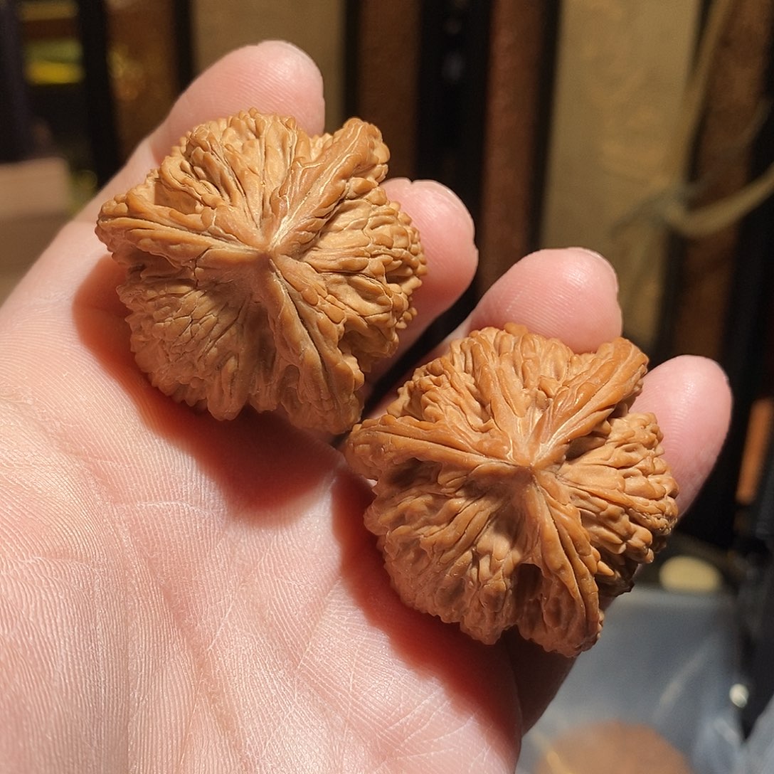 文玩核桃把件42虎头奔全品