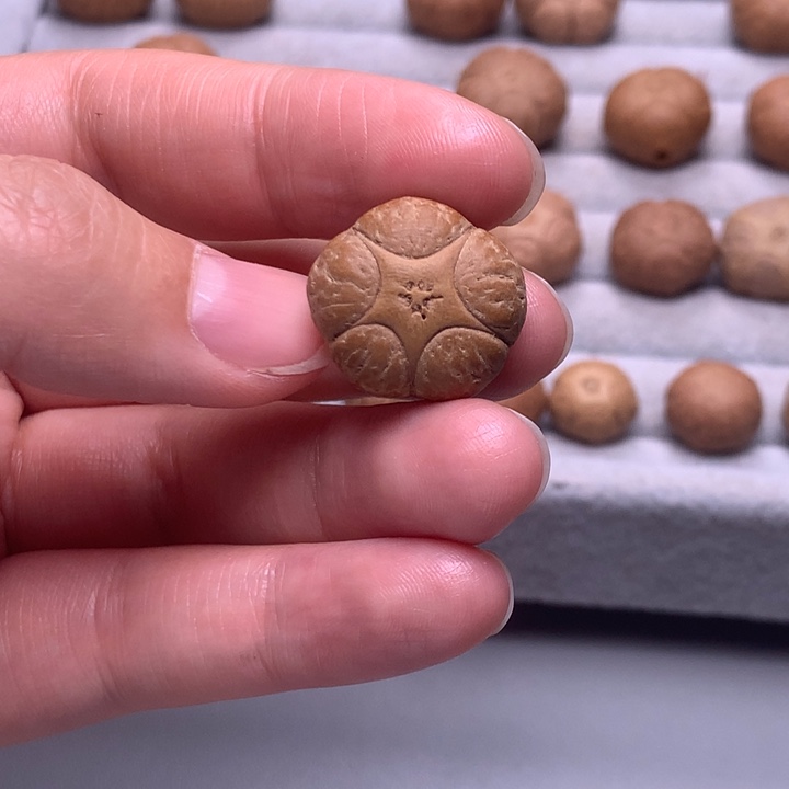凤眼菩提手串༺****༻尼泊尔五星19.8mm