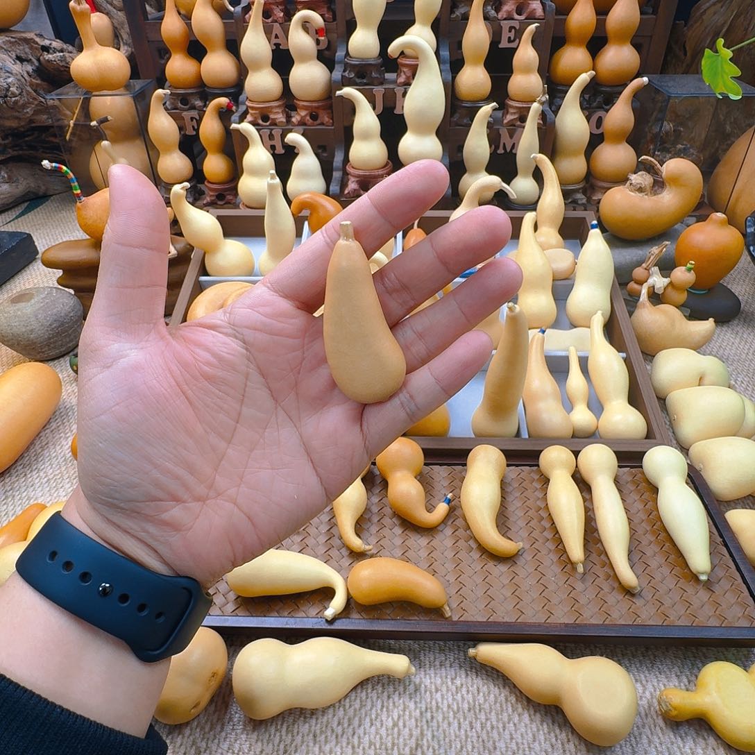 葫芦I**I葫芦葫芦