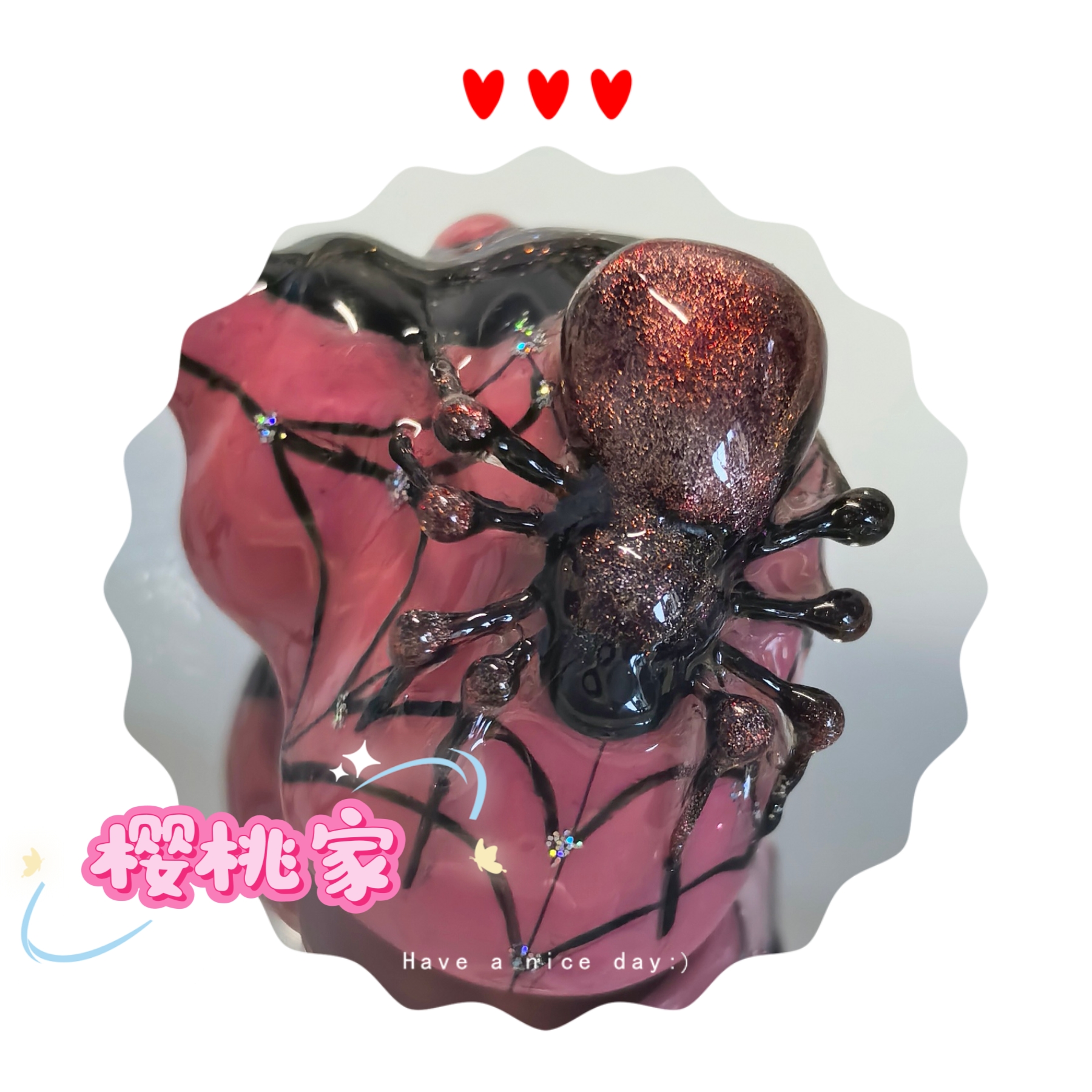 寄居蟹壳壳2.3口径左右（特）（未封口）（±0.01-0.03）