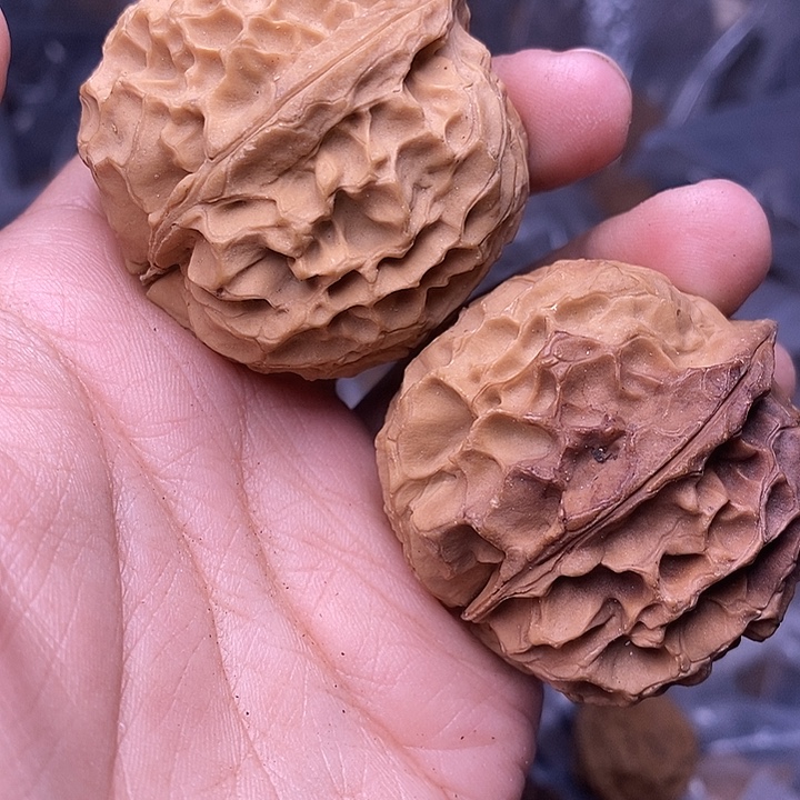 文玩核桃把件   236